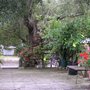another view of the deck