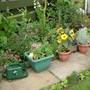 July_25_2007_001__8_