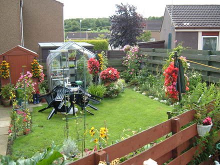 A garden flower photo