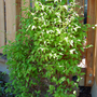 17_may_08_001_600