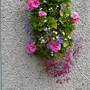 July_25_2007_001__14_