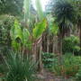 Dscf0712