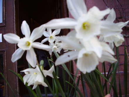 spring is here