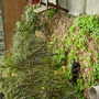 May_08_292