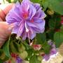 July_16_2007_001