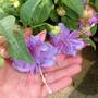 July_16_2007_002