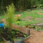Year 1, Apr 07_1