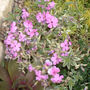 Pictures_to_sort_007