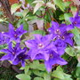 Imported_photos_00039