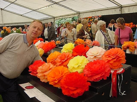 A garden flower photo