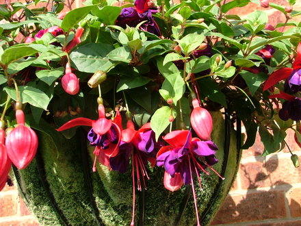 Imported_Photos_00036.jpg