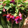 Imported_photos_00036