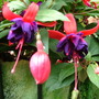 Imported_photos_00042