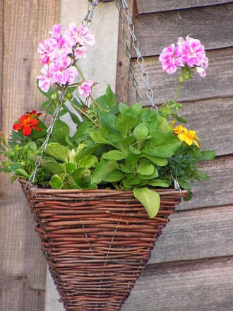 CONE BASKET