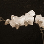 2007_0519image0047a