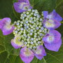 P6210056