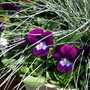 20080509_04
