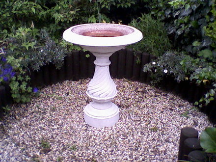 My friends garden