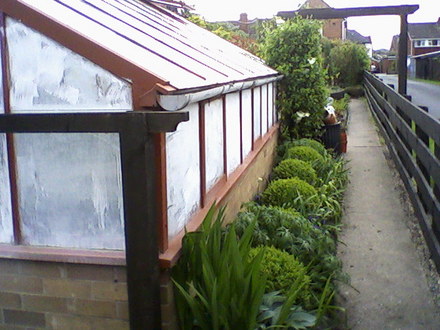 My friends garden / greenhouse