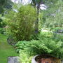 Captured_2007-7-22_00006