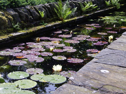 Raised water feature at York Gate like a rill