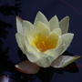 Captured_2007-7-22_00022