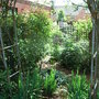 Under_the_rose_arch