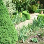 Looking_towards_the_sundial