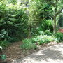 Hidden_garden
