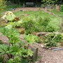 Year 2, May 08