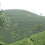 Picture_146