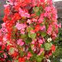 31_july_001