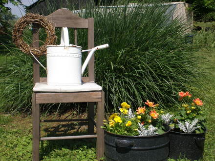 A garden flower photo