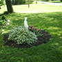 Spring__2008__7