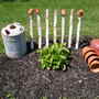 Spring__2008_8