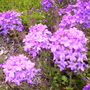 Pict0162