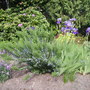 Pict0154