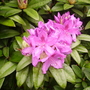 Pict0152