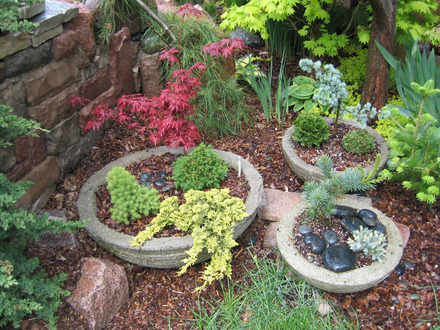 Container garden