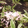 Pict0150