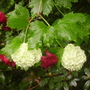 Pict0135