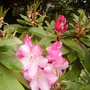 Pict0146