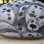 Dalmation rock