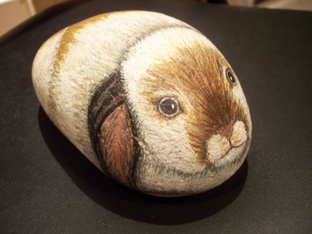 Rabbit rock