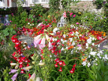 front garden