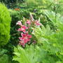 Pams_pics_032