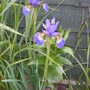 Wed_21_may_08_006