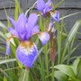 Wed_21_may_08_007