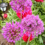 Wed_21_may_08_005