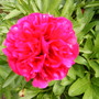 Wed_21_may_08_004